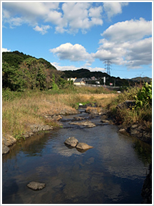 黒川の眺め