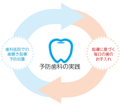 しょうの歯科・予防歯科についてのご案内